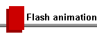 Flash animation