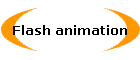 Flash animation
